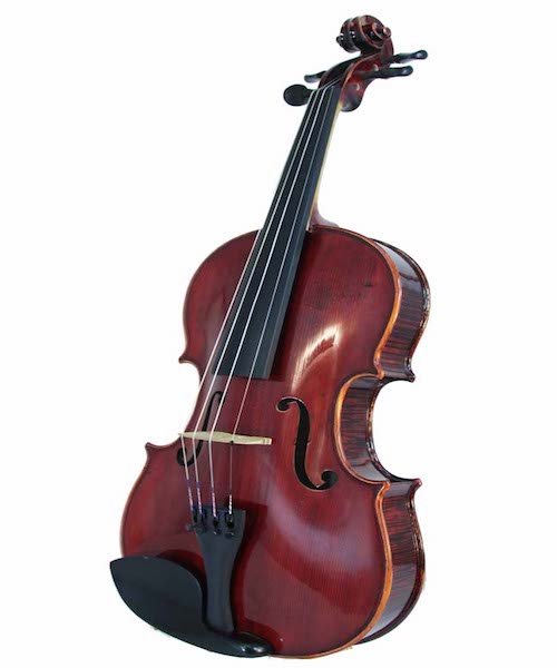 viola